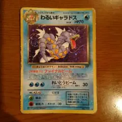 わるいギャラドス