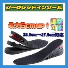 シークレットインソール 3段階調整 最大6cm 中敷き 上底 靴 身長アップのサムネイル