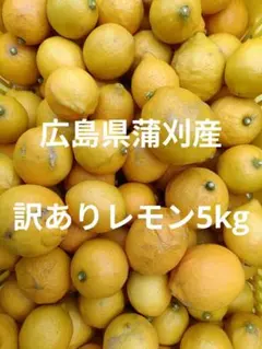 【5kg★】訳あり！産地直送　広島県蒲刈産レモン5kgのサムネイル