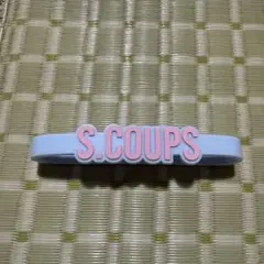 エスクプス　ペンライト　アクセサリー 2025年最新】seventeen ペンライト アクセサリー エスクプスの