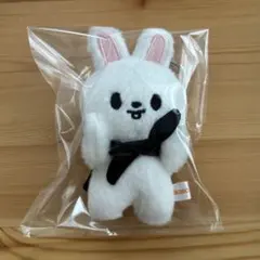 Stray Kids SKZOO マグネットキーリング 10CM リービット - メルカリ