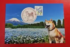 記念押印4/13世界獣医師会大会2026 特印・初日印付きポストカード