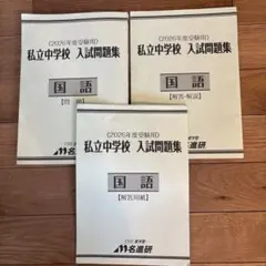NN桜蔭 桜蔭中学校入試問題解説集 国語 - メルカリ