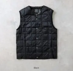 taion ダウンベスト