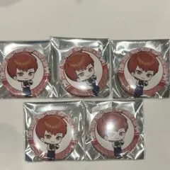 ぴ*ざ様 CRAZY RACCOON cpt 缶バッジ 5個セット