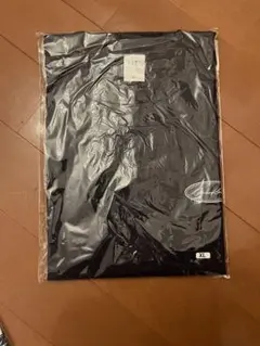 Item thumbnail for item ccfa531b-976b-4eec-bdc3-c9a596688197