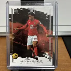 Brennan Johnson Panini Impeccable