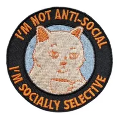 D-89【 アイロンワッペン 】 刺繍ワッペン アップリケ リメイク