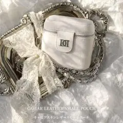 ダーリッチ　ノベルティ　キャビアスキンレザースモールポーチ