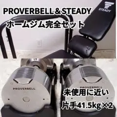 【PROVERBELL STEADY】プロバーベル41.5 kg 2個 セット
