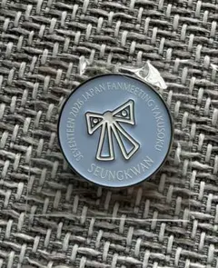 seventeen yakusoku PINS ピン　リボン　スングァン