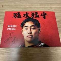 東芝ブレイブルーパス東京 選手応援カード