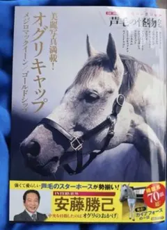 JRA ヒーロー列伝 No．29 オグリキャップ 銀文字 銀の箔押しB3