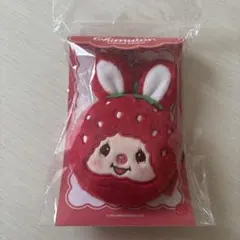 レアもんちっち　いちごコスチューム 希少 レア 美品 セキグチ モンチッチ いちごコスチューム Sサイズ