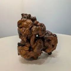 瘤木　こぶ木　木製　置物　自然物　オブジェ　アート　一点物