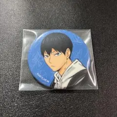 2025年最新】影山飛雄 缶バッジ 東武動物公園の人気アイテム - メルカリ