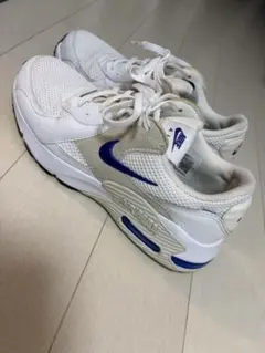 【NIKE】エアマックス エクシー　CD5432-122