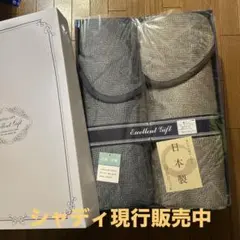 日本製　抗菌防臭加工あったか敷パット２枚セット　シャディ現売中