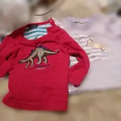 Item thumbnail for item ac66df12-c9ed-4927-bfa0-894602cdb4df