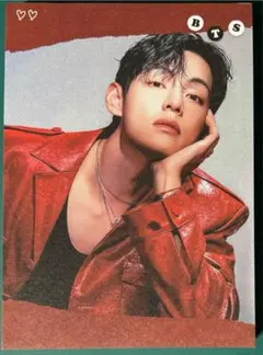 韓国製作者様 BTS テテメモ② 20枚