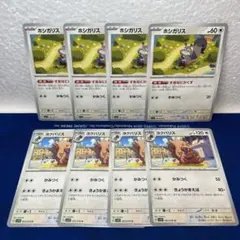 ホシガリス　ヨクバリス　8枚セット　進化ライン②