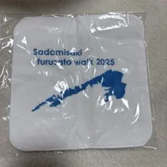 Item thumbnail for item 0a2d1030-cdf3-454f-a805-b8c68411d2e1