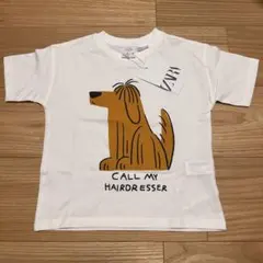 ZARA Tシャツ 3y 98cmのサムネイル