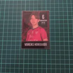 2026年最新】山岸隼の人気アイテム - メルカリ