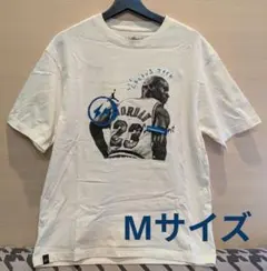 ユウタ様専用 美品 Air Jordan Travis Scott Fragme