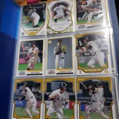 プロ野球 トレーディングカード セット　SoftBankロッテオリックス中日阪神