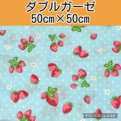 ダブルガーゼ(51)いちご　サックス　50cm×50cm