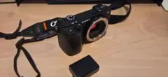 SONY α6400 ボディ（美品・シャッター1.1万回・バッテリー2個付属）