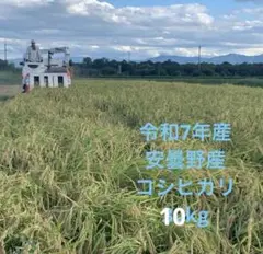 令和8年産】80代の熟練農家が丹精込めて育てた「自家製米」玄米30kg