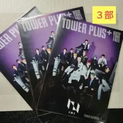 INI　タワープラス　THE FRAME タワレコフライヤー　３部