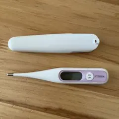 Item thumbnail for item 2f50deb4-a33e-4f9f-bfda-48afaaeb37f9