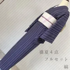 絽 紗 盛夏 小紋 フルセット 縦縞 155 直線と曲線美 スタイリッシュ 夏 