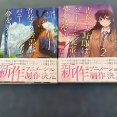 青春ブタ野郎はバニーガール先輩の夢を見ない 2巻セット