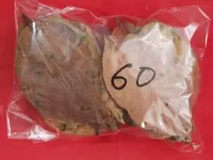 柿の葉　メダカ　60枚　アク抜雑菌・微生物・害虫卵洗浄　完全乾燥　No.256のサムネイル