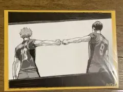 ハイキュー!! 日向翔陽 影山飛雄 イラスト