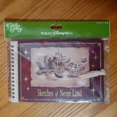 【未開封】ディズニーシー　ピーターパン　ポストカード　ファンタジースプリングス
