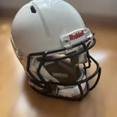 VICIS シルバー ヘルメット M 2025年製 - メルカリ