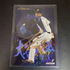 カルビープロ野球チップス 2015大谷翔平 金箔サインカード スターカード