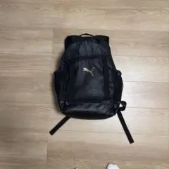 Item thumbnail for item 88f6e2d6-1a7d-4fd7-9934-494c7b137be9