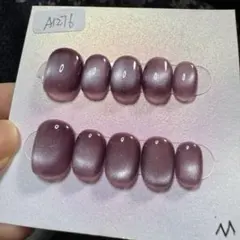 【セツ】マグネット　ネイルチップ　付け爪（A1276）