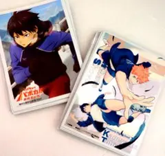 ハイキュー バボカBREAKスリーブ 日向翔陽&日向・影山 - メルカリ