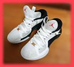 NIKE AIR JORDAN ZOOM SEPARATE PF 26 cm