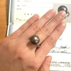 鑑定書付　黒真珠　プラチナ　リング