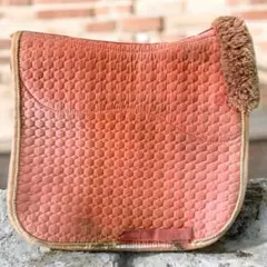 Item thumbnail for item 2306eee2-a296-43c8-ae83-7d20b6551931