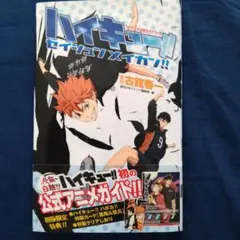 TVアニメ公式ガイドブック ハイキュー!! セイシュンメイカン!!古本おまけ付き