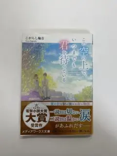 この空の上で、いつまでも君を待っている メディアワークス文庫